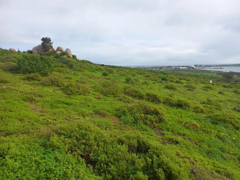 0 Bedroom Property for Sale in Da Gama Bay Western Cape